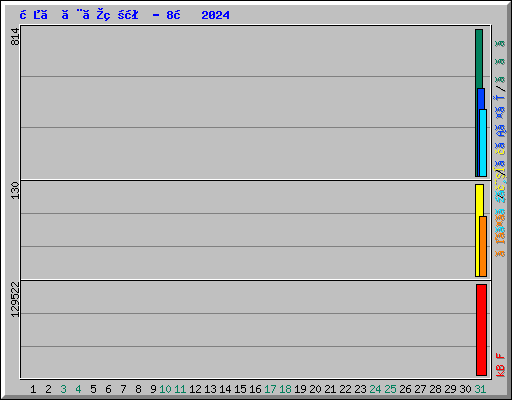 日ごとの状況 - 8月 2024